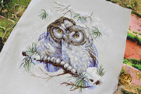 Cross Stitch Kit with Colorful Owl Design for Beginners, MP Studia Embroidery Kit with Canvas, Threads, Needle and Pattern