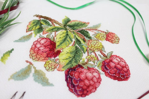 Raspberry Cross Stitch Kit with Aida Canvas, Cotton Mouliné Threads, Needle and Pattern by MP Studia
