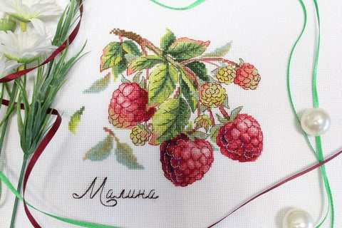 Raspberry Cross Stitch Kit with Aida Canvas, Cotton Mouliné Threads, Needle and Pattern by MP Studia