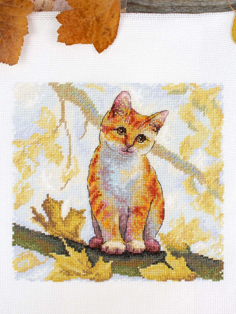 Cross Stitch Kit with Fluffy Brown Cat, 19 x 19 cm, 16 Count Cotton Canvas, 35 Gamma Thread Shades, MP Studia