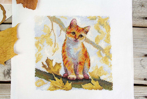 Cross Stitch Kit with Fluffy Brown Cat, 19 x 19 cm, 16 Count Cotton Canvas, 35 Gamma Thread Shades, MP Studia