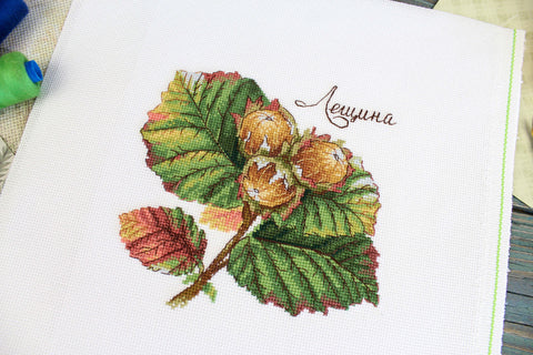 Cross Stitch Kit with Hazelnut Motif, 13 x 13 cm, MP Studia, Aida Fabric, Threads, Needle, Chart and Instructions
