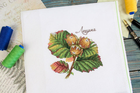 Cross Stitch Kit with Hazelnut Motif, 13 x 13 cm, MP Studia, Aida Fabric, Threads, Needle, Chart and Instructions