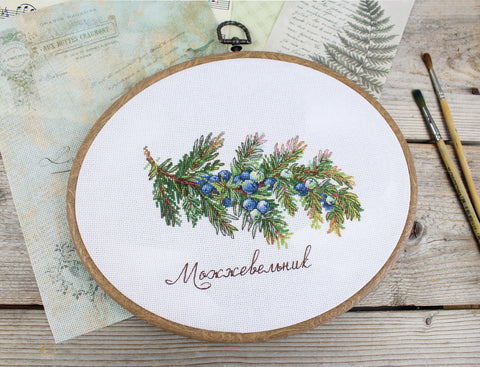Cross Stitch Kit with Juniper Nature Motif, MP Studia, 12 × 16 cm, Green and Brown Tones, Beginner Friendly, Aida Fabric