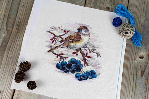 Cross Stitch Kit with Sparrow Motif, 19×19 cm Finished Size, MP Studia Embroidery Set for Beginners and Advanced Crafters