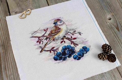 Cross Stitch Kit with Sparrow Motif, 19×19 cm Finished Size, MP Studia Embroidery Set for Beginners and Advanced Crafters