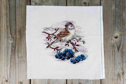 Cross Stitch Kit with Sparrow Motif, 19×19 cm Finished Size, MP Studia Embroidery Set for Beginners and Advanced Crafters