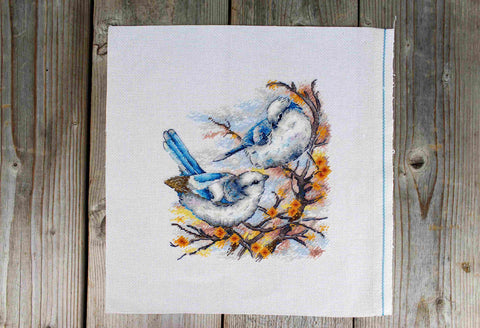Cross Stitch Kit with Bird Motif, MP Studia, 20x18 cm, Multicolor Aida Fabric, Threads, Needle and Pattern, Beginner Friendly