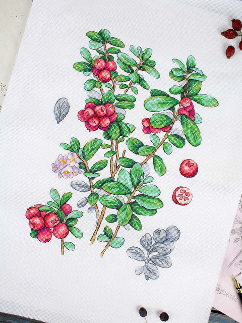 Cross Stitch Kit with Lingonberry Berry Motif, 16 Count Cotton Fabric, 29 x 20 cm, 32 Colors, MP Studia
