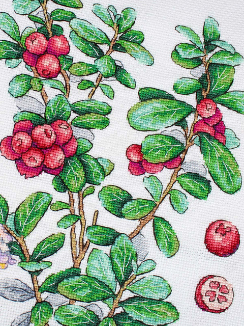 Cross Stitch Kit with Lingonberry Berry Motif, 16 Count Cotton Fabric, 29 x 20 cm, 32 Colors, MP Studia