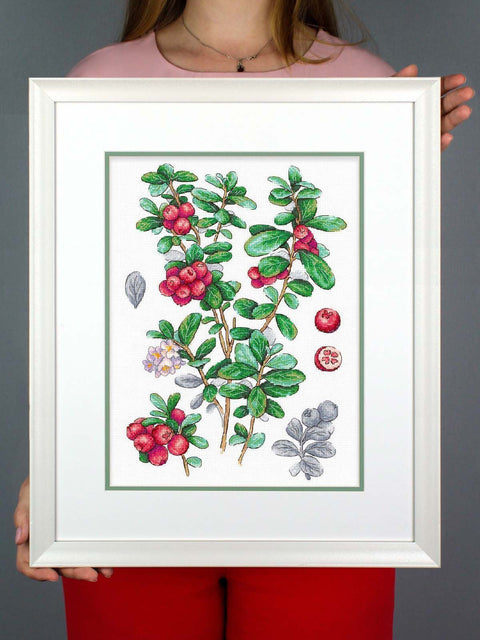 Cross Stitch Kit with Lingonberry Berry Motif, 16 Count Cotton Fabric, 29 x 20 cm, 32 Colors, MP Studia
