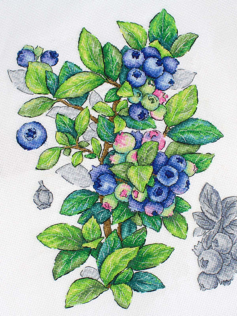 Blueberry Cross Stitch Kit, 28 x 20 cm, 31-Color Gamma Thread, 16-Count Cotton Canvas, Botanical Berry Design