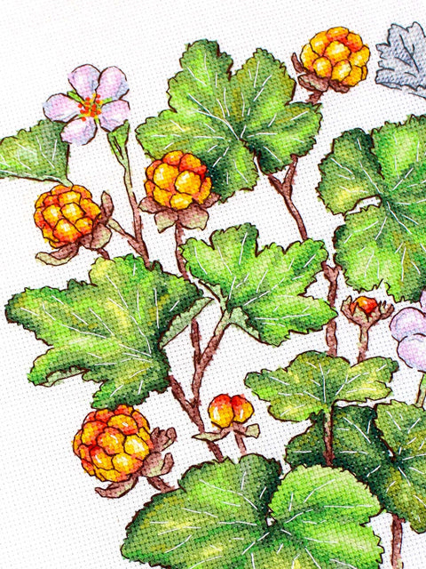 Cross Stitch Kit Northern Berry Botanical Design, 16 Count White Cotton Fabric, 28 x 19 cm, MP Studia, 31 Gamma Colors
