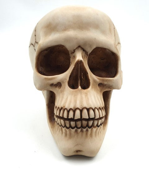 Skull 15 cm High | MC-30685