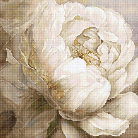 LetiStitch Peony Poses Cross Stitch Kit, 35x35 cm, Zweigart Aida 16ct, Anchor Cotton Threads, Black Symbol Chart