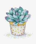 Cross Stitch Kit Succulent Splendour SM-381
