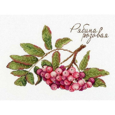 Cross Stitch Kit Gifts of Nature. Pink Rowan SNV-693