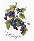 Cross Stitch Kit Gifts of Nature. Black Currant SNV-694