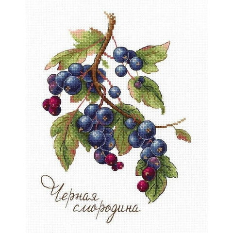 Cross Stitch Kit Gifts of Nature. Black Currant SNV-694