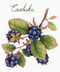 Cross Stitch Kit Gifts of Nature. Blackberry SNV-696