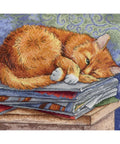Studying Cat SNV-595 Cross Stitch Kit by MP Studio - Hobby.lt