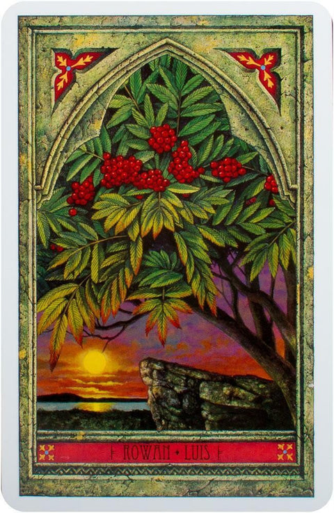 Spirit Of Nature Oracle Cards Welbeck Publishing