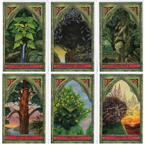 Spirit Of Nature Oracle Cards Welbeck Publishing