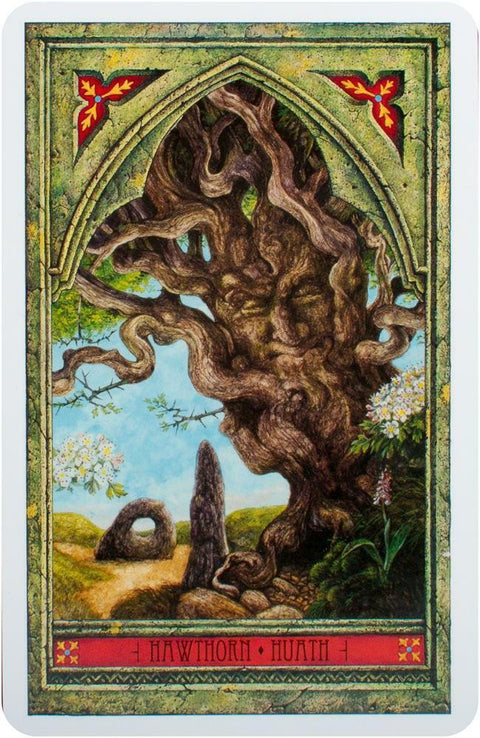 Spirit Of Nature Oracle Cards Welbeck Publishing