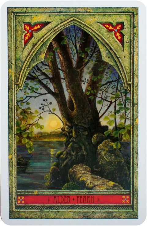 Spirit Of Nature Oracle Cards Welbeck Publishing