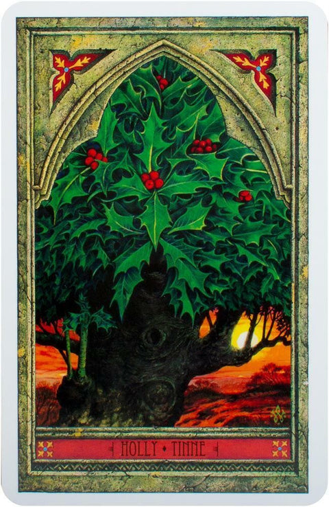 Spirit Of Nature Oracle Cards Welbeck Publishing