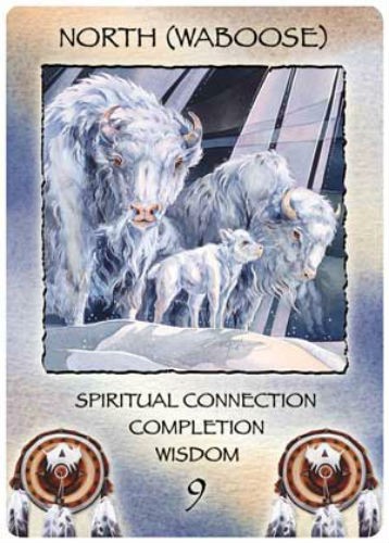 Spirit Of The Wheel Meditation cards US Games Systems