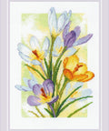Spring Glow. Crocuses. Cross Stitch kit by RIOLIS Ref. no.: 2190 - Hobby.lt ??