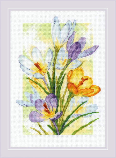 Spring Glow. Crocuses. Cross Stitch kit by RIOLIS Ref. no.: 2190 - Hobby.lt ??