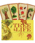 Tarot Cards Tree of Life Oracle Schiffer Publishing