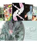 The Son Tarot Cards Schiffer Publishing