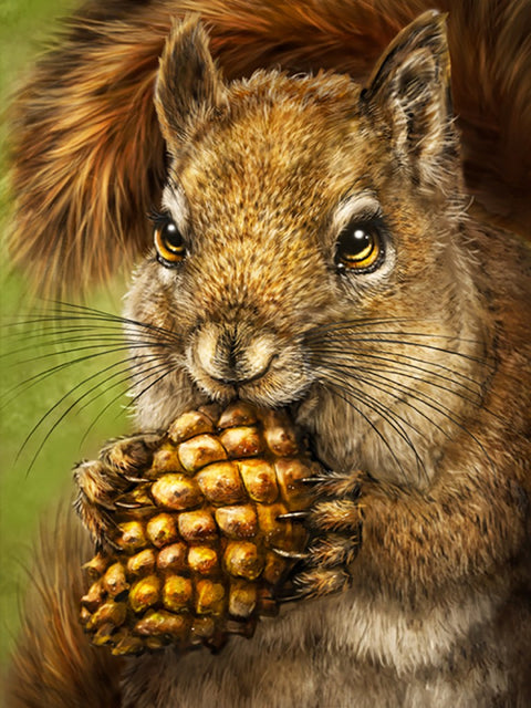 Squirrel Totem Diamond Painting Set CS2567