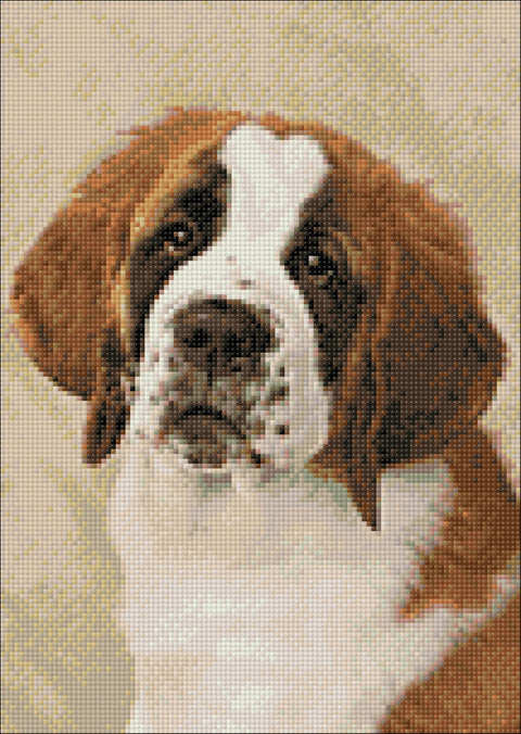 St. Bernard pup 30х40 Diamond Painting Set Cs2416