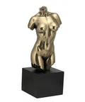 Bronze Resin Female Torso Sculpture