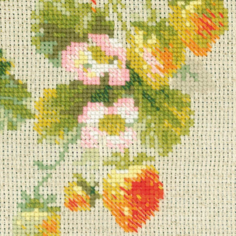 Strawberry - Cross Stitch Kit from RIOLIS Ref. no.:1551