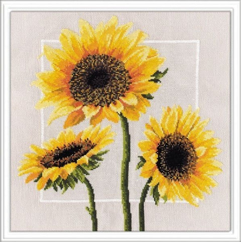 Sun Flowers S562