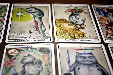 Tarot Cats cards Fournier