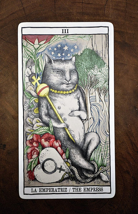 Tarot Cats cards Fournier