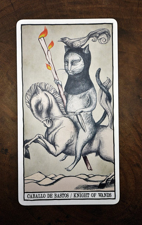 Tarot Cats cards Fournier