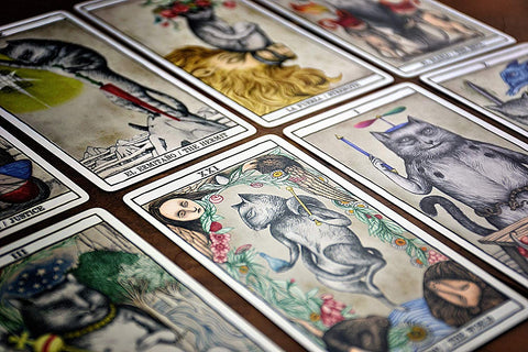 Tarot Cats cards Fournier