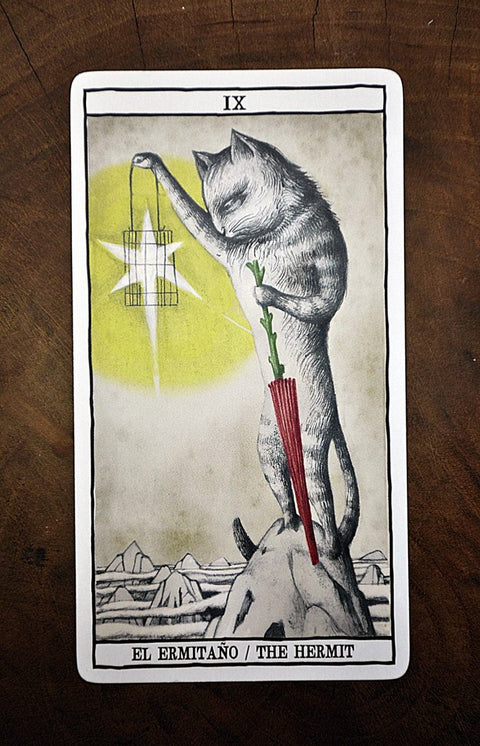 Tarot Cats cards Fournier