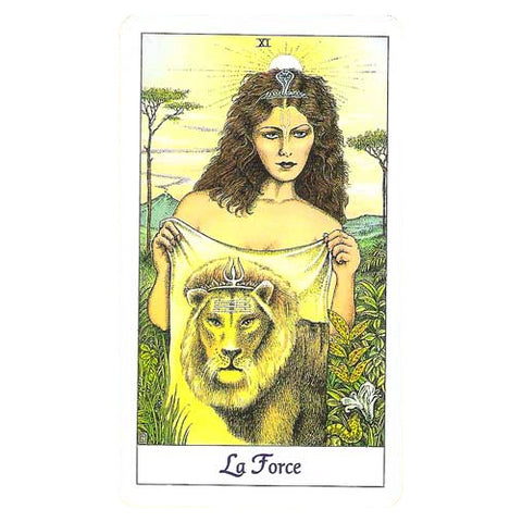 Tarot Cosmique French Edition Cards AGM