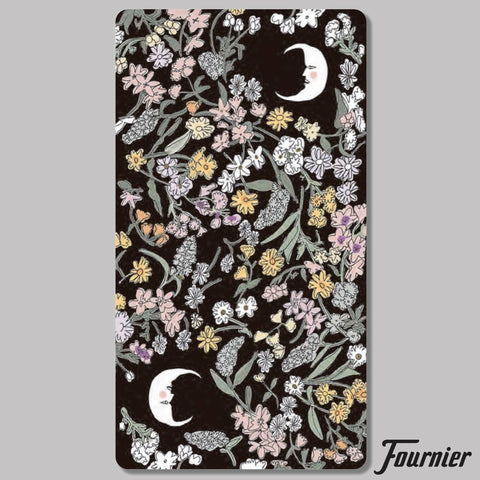 Tarot De Carlotydes tarot cards Fournier