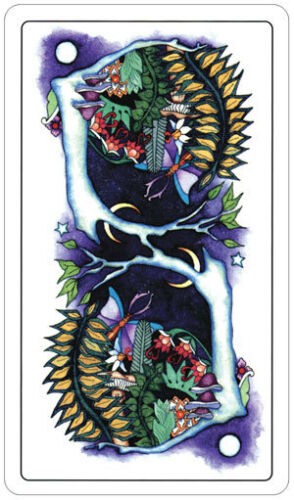 Tarot Of A Moon Garden cards US Games Systems