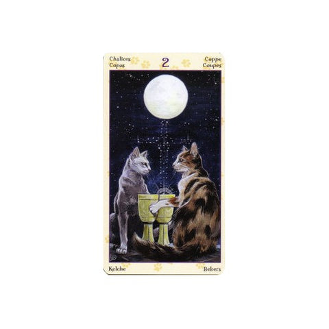 Tarot of Pagan Cats Mini deck Lo Scarabeo