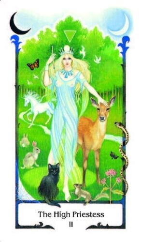 Tarot Of The Old Path Cards by AGM